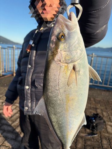 鞠山海遊パーク