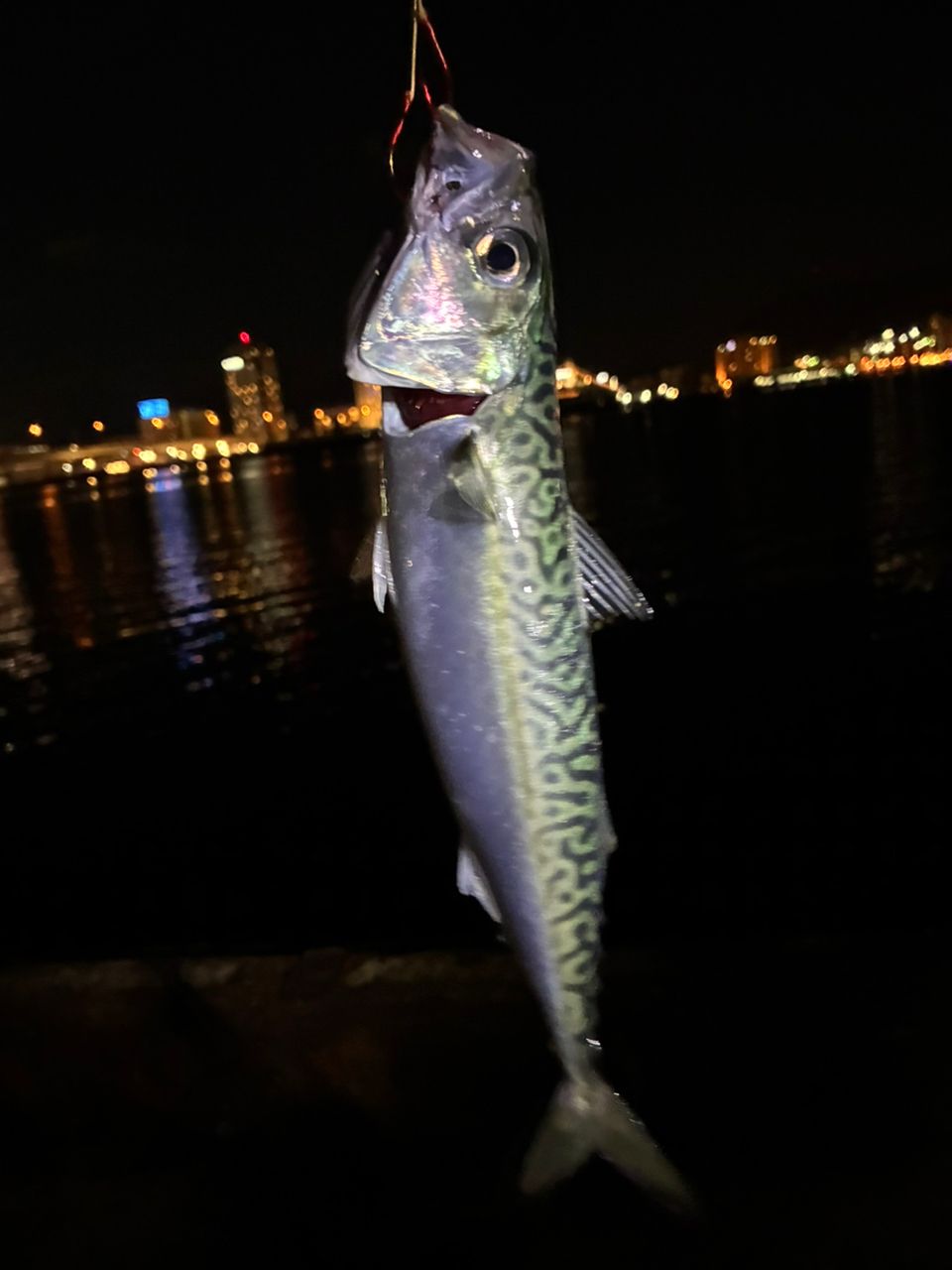 ムーンショット　S96M シマノ ○シマノ 21 ムーンショット S96M (399892) : 釣具のバスメイト