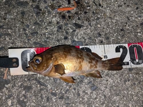 東部浄化センター（広島市）