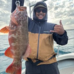 アカジンミーバイ