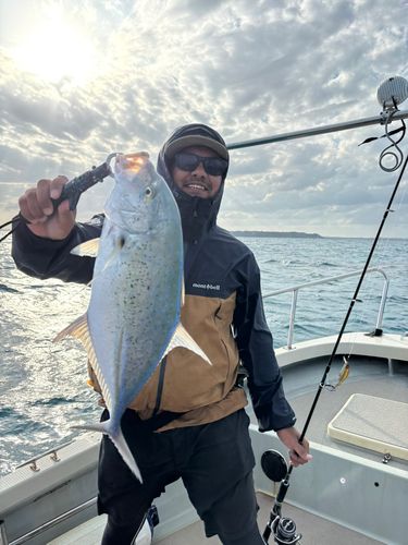 カスミアジの釣果