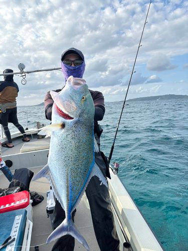 カスミアジの釣果