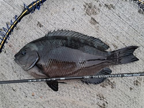 南芦屋浜ベランダ