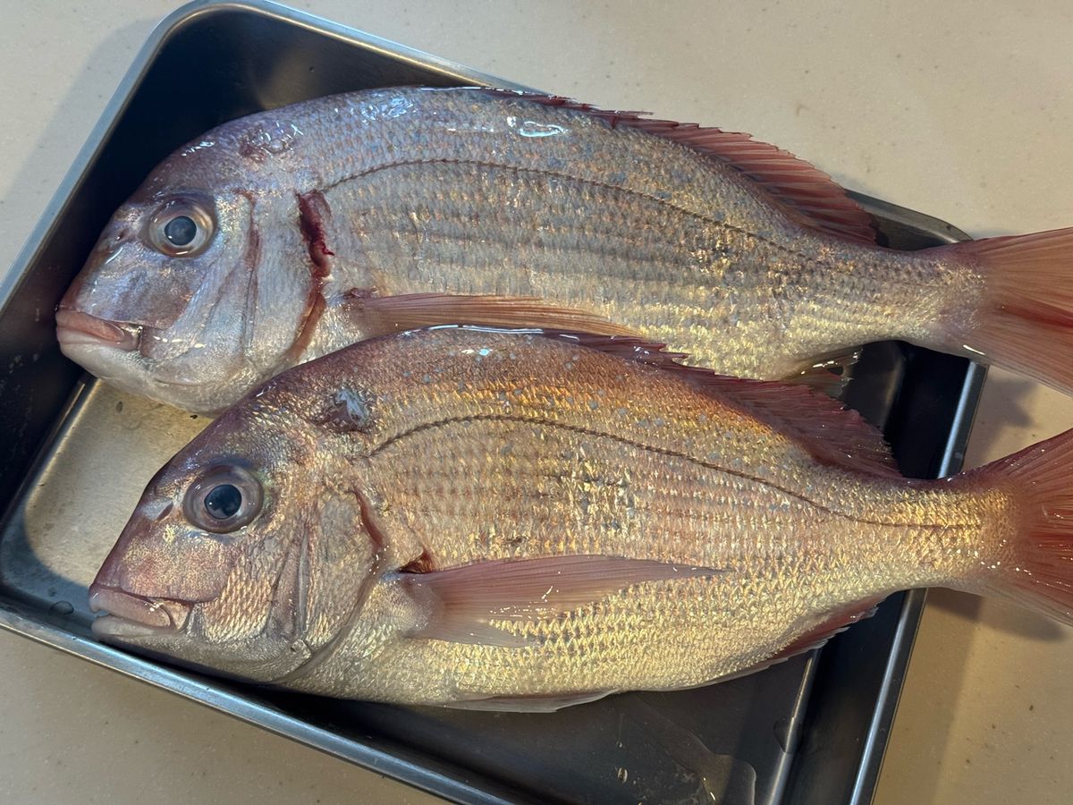 えびみそおじさんさんの釣果 1枚目の画像