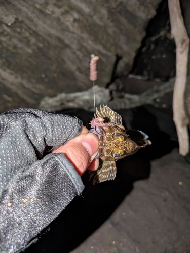 東京ゲートブリッジ付近