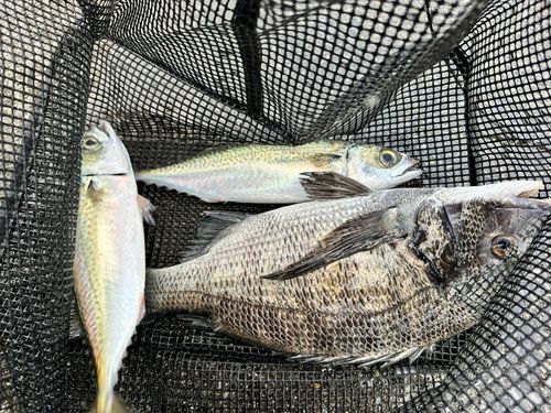 千葉港中央埠頭