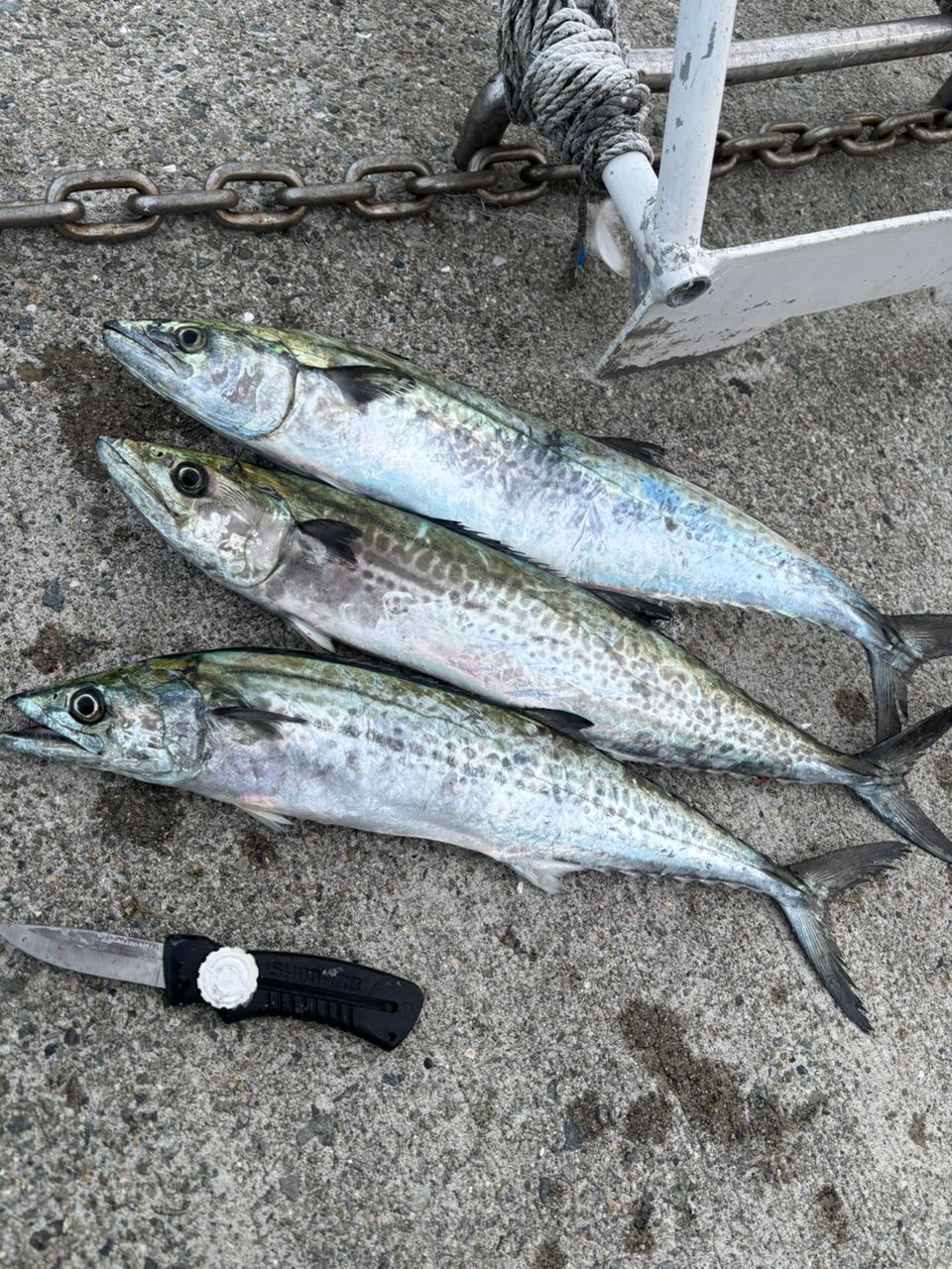 SHIMANO 20コルトスナイパー XR S106H/PSの最安値・インプレ・釣果