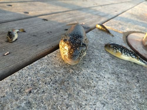 小名浜港アクアマリンふくしま周辺