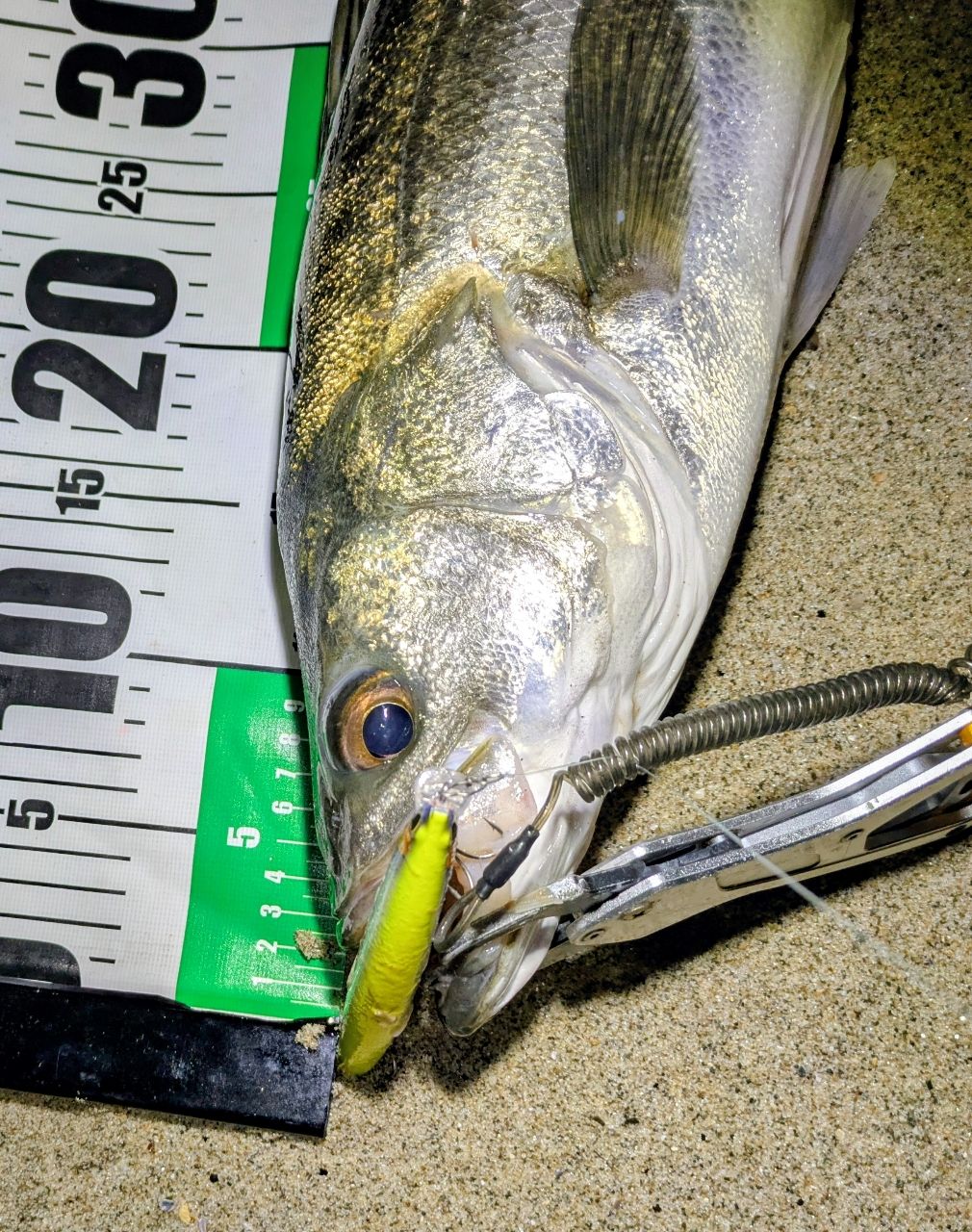 AbuGarcia ソルティースタイルフラットフィッシュ STFS-1032MH-KRの最