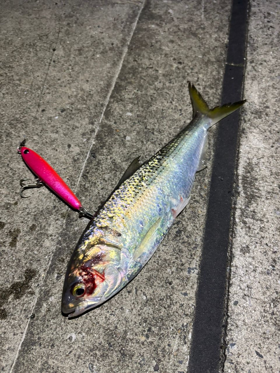 SHIMANO 22エクスセンス ズーム S96-106Mの最安値・インプレ・釣果