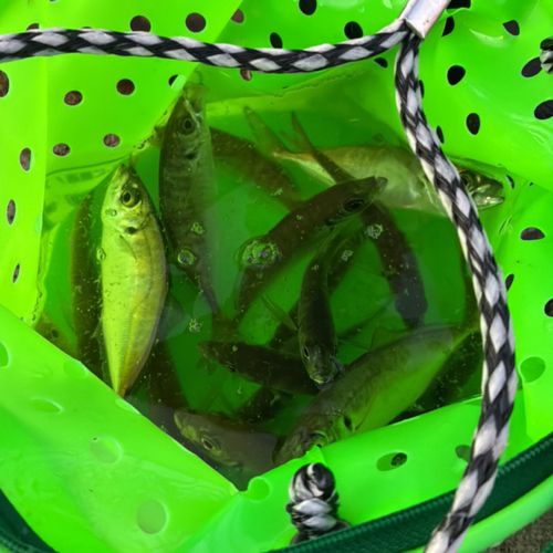 神戸空港親水護岸