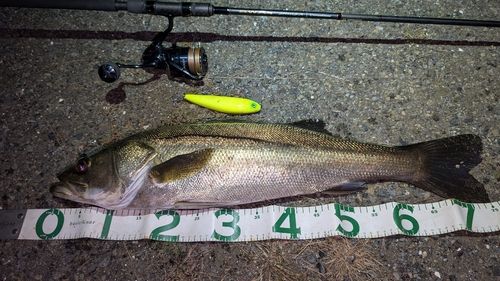 東京湾（アクアライン〜富津）