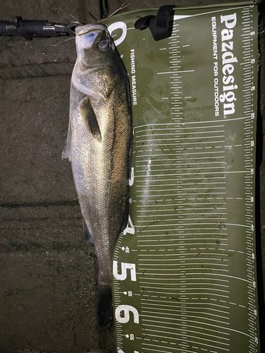 荒川河川敷運動公園