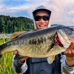 ラージマウスバス