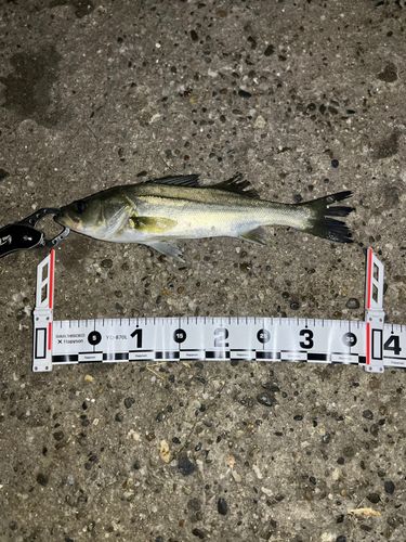 千葉港中央埠頭