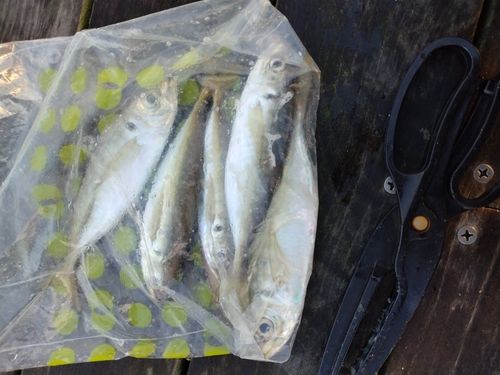 小名浜港アクアマリンふくしま周辺