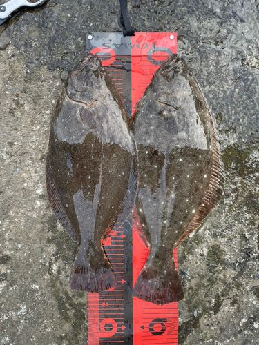 三陸海岸（青森）