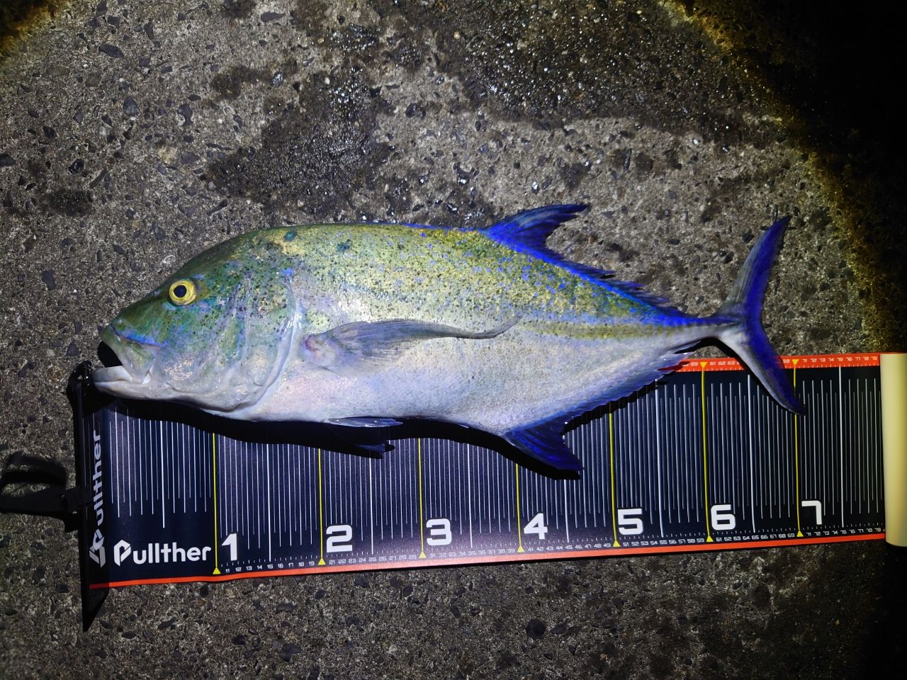 SHIMANO 19コルトスナイパー エクスチューン S98XXHの最安値・インプレ