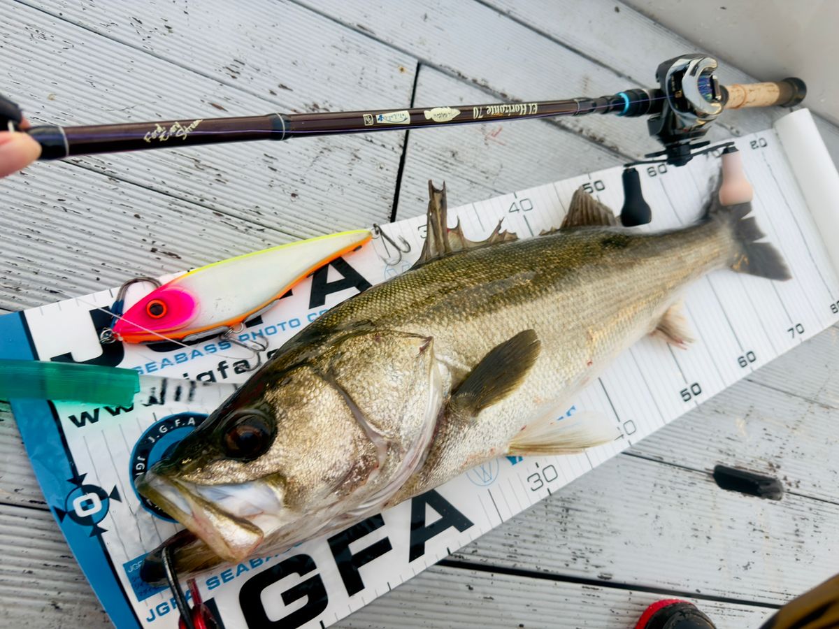 あかねん🎣さんの釣果 2枚目の画像