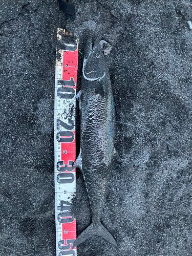 大浜海岸（静岡）