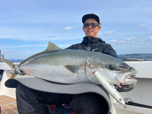 ヒラマサの釣果