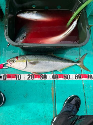 三陸海岸（岩手）