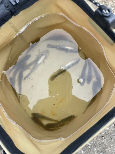 ディズニーリゾート付近