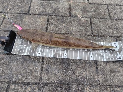 木津川（大阪）