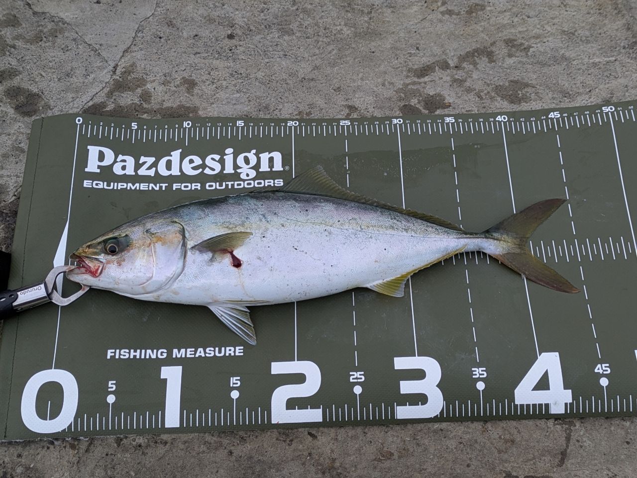 APIA グランデージ アトラス BLUE RUNNER 100HHの最安値・インプレ