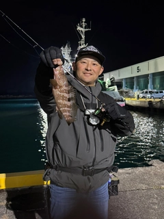 キジハタの釣果