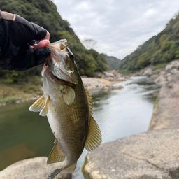 スモールマウスバス