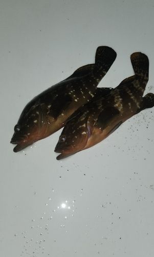 住吉浜リゾートパーク