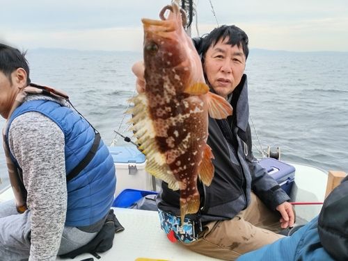 キジハタの釣果