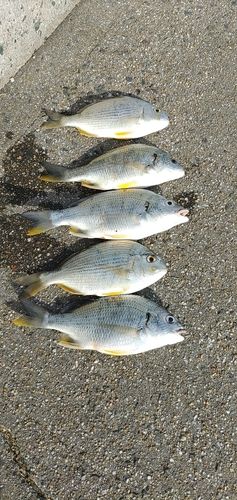 福間漁港海浜公園