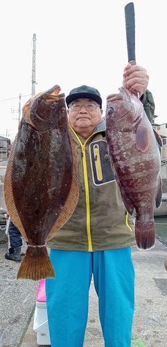 ヒラメの釣果