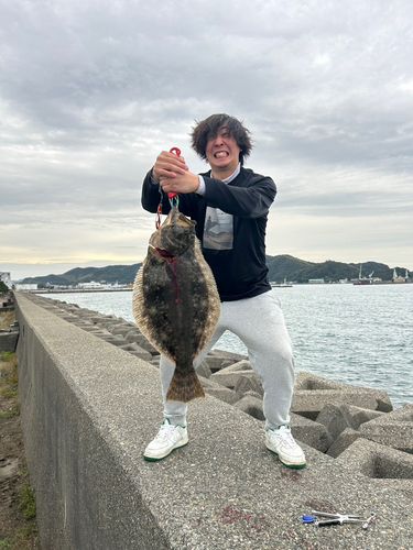 ヒラメの釣果