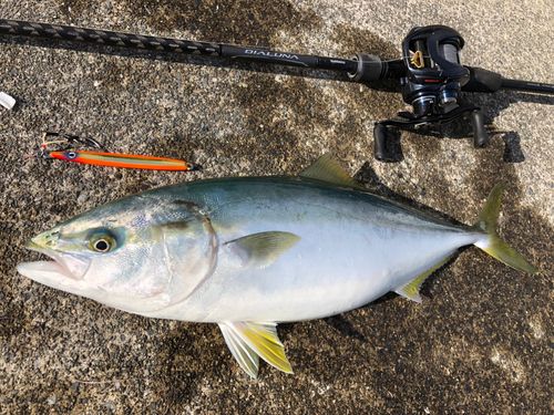 三陸海岸（岩手）