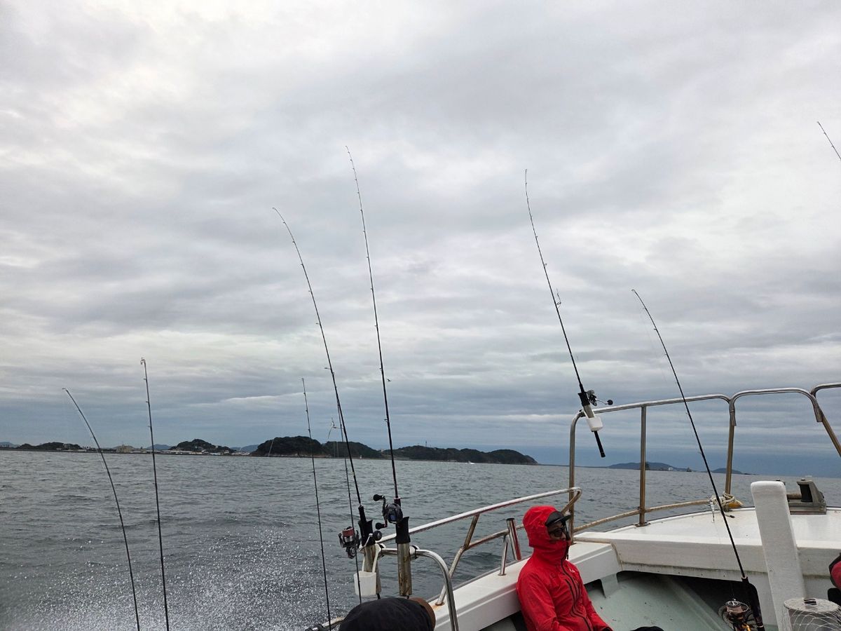 ( ﾟAﾟ )さんの釣果 2枚目の画像