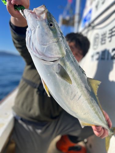 三陸海岸（岩手）