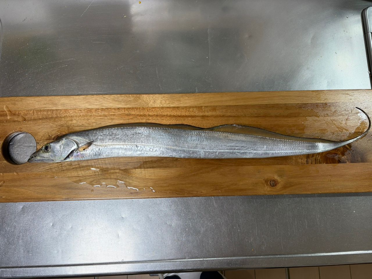 タク🐟タクさんの2025年11月04日(火)の釣行(静岡県 - 清水港) - アングラーズ | 釣果600万件の魚釣り情報サイト