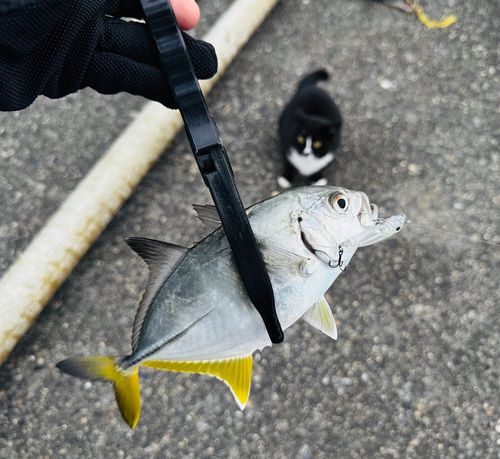 用宗広野海岸公園