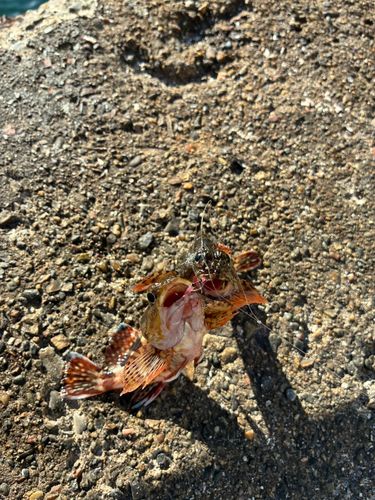 本牧海づり施設