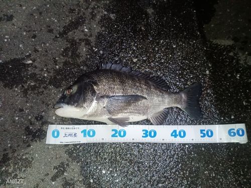 長良川揖斐川合流点