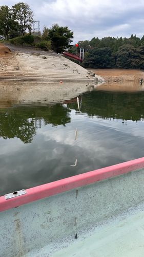 フィッシングセンターうおまん