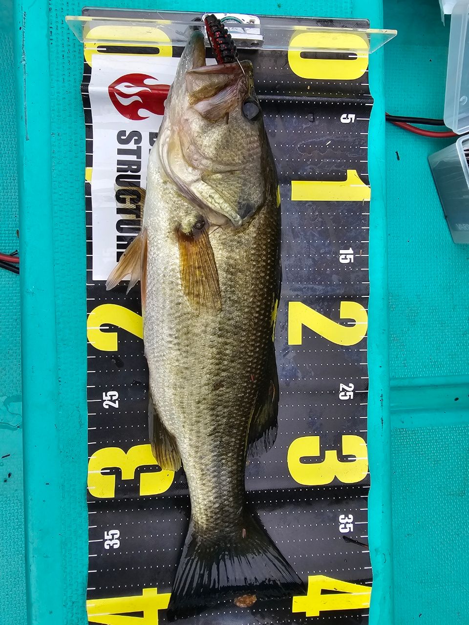 SHIMANO 22バンタム 170MHの最安値・インプレ・釣果 | 本音の口コミが