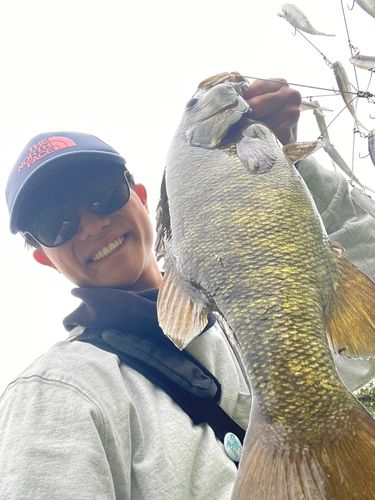 スモールマウスバスの釣果