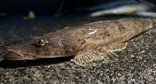 用宗広野海岸公園