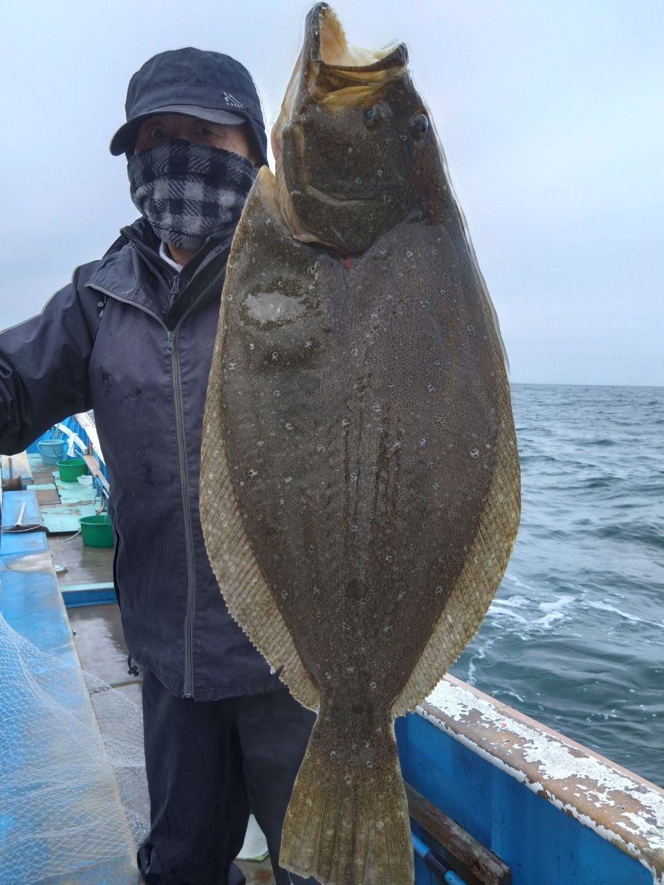 三浦丸　船長さんの釣果 2枚目の画像