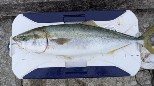 神戸空港親水護岸