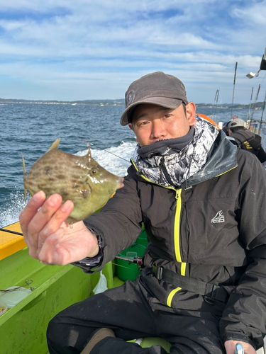 カワハギの釣果